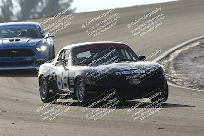 media/Feb-22-2025-CalClub SCCA (Sat) [[57201885c5]]/Group Five/Group 5b/